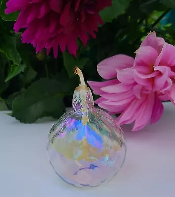 Vintage Hand Blown Globe Oil Lamp Iridescent Clear Glass With Cotton Wick • $19.99