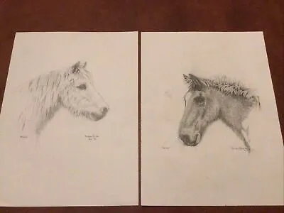 Nicholas Raisin Pencil Drawings X 2 Horses~Prince & Spider~ 1996 & 1997 • £12