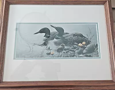 Framed & Matted  Michael Dumas Art Print  Bright Water  Loons And Chicks 21 X 17 • $61.90