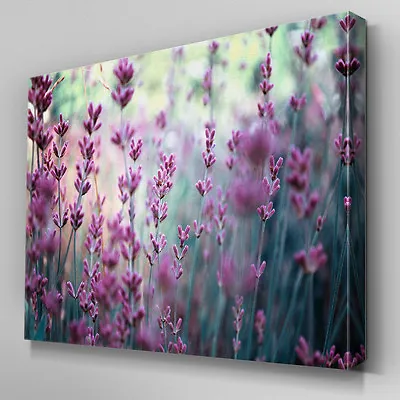 FL494 Field Of Lavender Floral Canvas Wall Art Ready To Hang Picture Print • £8.99