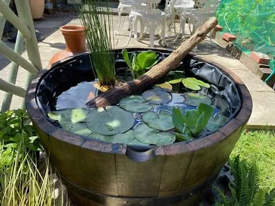 £39.95 • Buy Water Tight Oak Half Whisky Barrel Ice Bucket Fish Pond Lilly Water Feature Tub