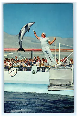 Postcard CA Palos Verdes Marineland Of The Pacific High Jumping Porpoise C1950's • $5.99