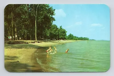 Crane Creek State Beach Park Oak Harbor Ohio OH Bathers Swimming Vtg Postcard • $5.47