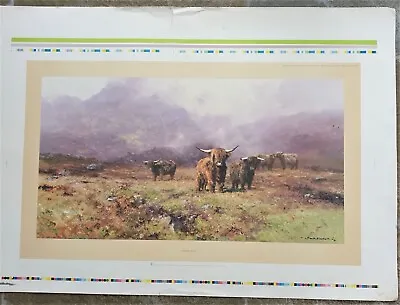 VINTAGE ART PRINT 'HIGHLAND CATTLE'  BY DAVID SHEPHERD O.B.E  C.1982 • £12.95