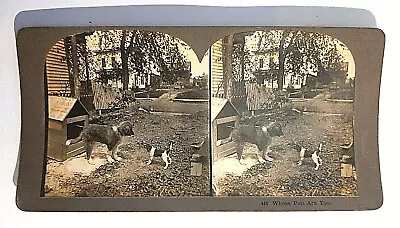 Whose Pup Are You Stereo View Card • $5.59