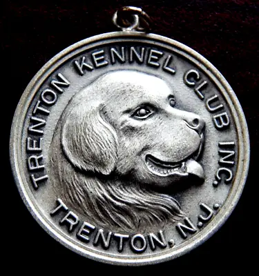 $5.99 • Buy 15.4 Grams Strling Silver Trenton Kennel Club Inc Trenton Nj Medal By Balfour !!