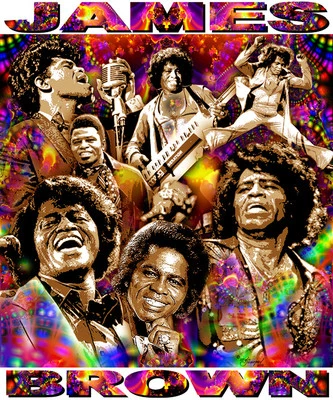 $22.95 • Buy James Brown Tribute T-shirt Or Print By Ed Seeman