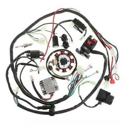 Motorcycle Stator CDI Coil Electric Wiring Harness Wire Loom Assembly 125-250CC • $60.60