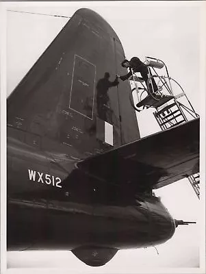 Lockheed Neptune P2v Wx512 Tail Raf Original Vintage Air Ministry Photo • $30.77