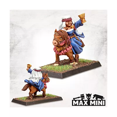 Maxmini Fantasy Mini 28mm Mounted Maiden Pack New • $12.49