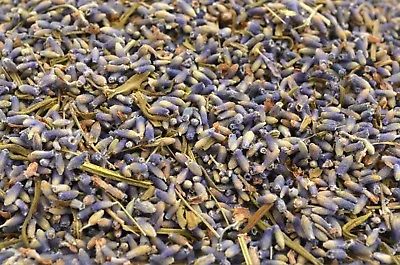 Dried Lavender Natural Tea - Calming Scent Pot Pourri - UK Stock - Fast Shipping • £1.69