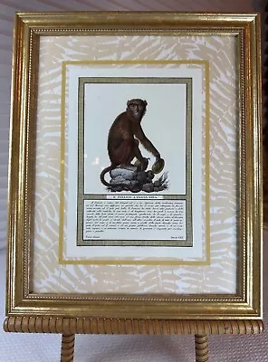 Art Print Monkey In A Gold Frame 9” X 11” ‘BLACK BAND PATASSO’ • $7.99