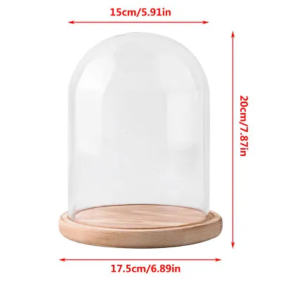 £14.99 • Buy Glass Display Cloche Bell Jar Dome With Wooden Base Decorative Desk Vintage UK