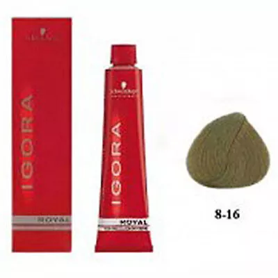 SCHWARZKOPF IGORA ROYAL HAIR DYE COLOUR 8-16 LIGHT BLONDE CENDRE AUBURN 60g • $16.95