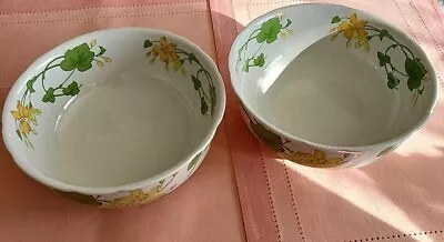 2 Villeroy & Boch Geranium 8.75” Vegetable Serving Bowls Germany • $69.49