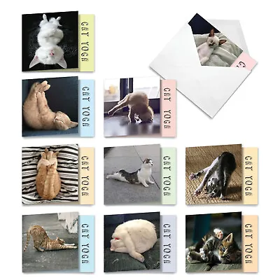 10 Assorted All Occasion Blank Note Cards Pack - Cat Yoga • $11.98