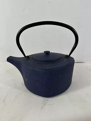 Vintage Teapot Enamel Cast Iron • $29.95