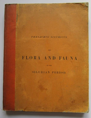 £65 • Buy 1868 Thesaurus Siluricus SILURIAN PERIOD Lists Of Fossils PALAEONTOLOGY Geology