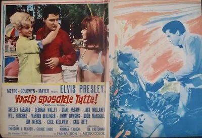 SPINOUT Italian Fotobusta Movie Poster 4 ELVIS PRESLEY 1966 VERY RARE • $200