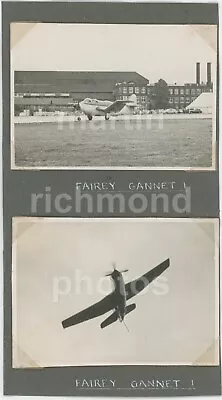 Fairey Gannet AS1 WE488 Lot Of 2 Original Photos CX012 • £2.99