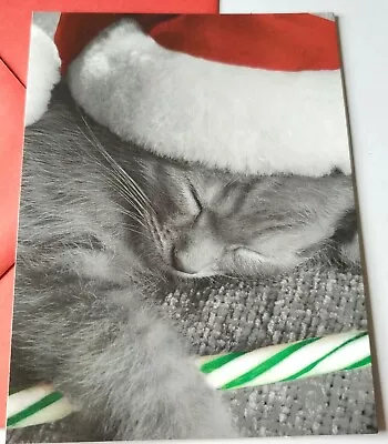 Vtg Christmas Card Blank Cute Sleeping Kitten In Santa Hat With Candy Cane • $0.99