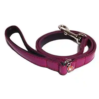 Rosewood - Wag ‘n’ Walk Damson Lead Leash Dog Walking Puppy Leather Training • £10