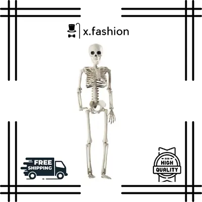 Halloween Human Skeleton Model Anatomy Poseable 36cm Decoration Party Prop New • $12.19