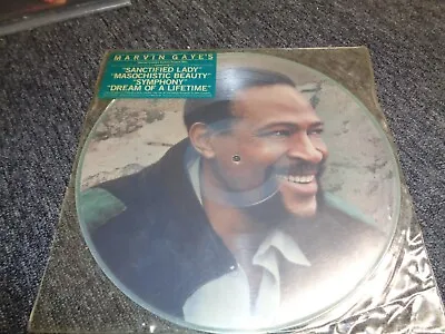 Marvin Gaye - SPECIAL LIMITED EDITION PICTURE DISC 1985 RARE • $150