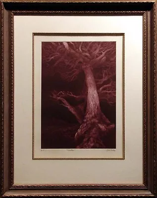 G.H Rothe  SHELTER  Artwork Tree Framed H.Signed Limited Edition Paper L@@K • $3200