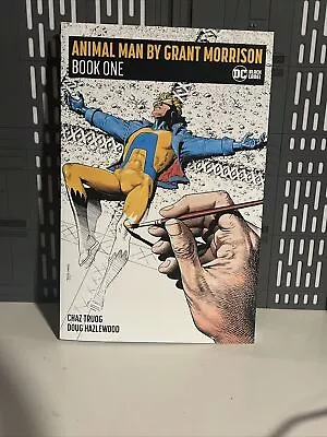 Animal Man By Grant Morrison Book One (DC Comics Softcover New 2020) • $15