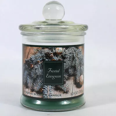 Langley Empire Candle 10 Oz Jar Candle Frosted Evergreen Holiday Memories • $15.20