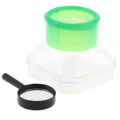 Insect Habitat Box Magnifier Nature Educational Bug Explorer • £6.26