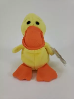 1995 TY Beanie Baby Quackers The Duck 5th Gen Hang Tag 1st 6th Gen Tush Tag • $9.24