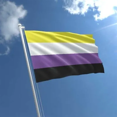 NON-BINARY PRIDE FLAG 5ft X 3ft Rainbow Inclusive Flags With Eyelets LGBTQIA+ • £3.49