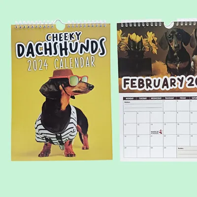 2024 Cheeky Dachshunds Calendar Funny Werid Animal Dogs Wall Calendar Home Decor • £7.56