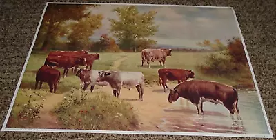 R. Atkinson Fox Cows Pond Sample Large Print 14.75 X19.75  Great Color 1920s • $79.99