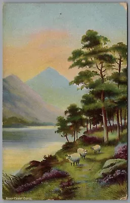 River Near Capel Curig Conwy Wales Vintage Postcard Unposted • £5