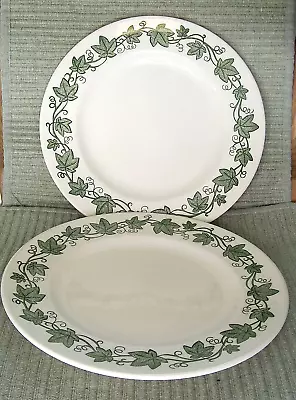 Pair Vintage Mount Clemens Pottery Ironstone Dinner Plates~green Ivy Leaf Vine • $28