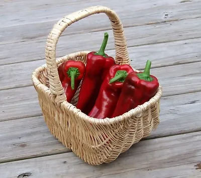 60 RED MARCONI PEPPER Rossa Large Sweet Italian Frying Capsicum Annuum Seeds • $3