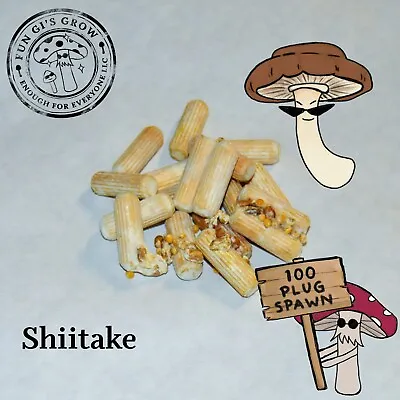 100 PREMIUM Organic Shiitake Mushroom Spawn Plugs Free Shipping! • $19.99