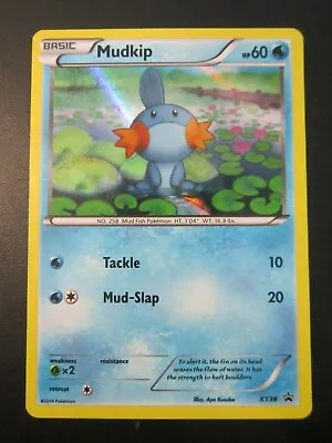 Mudkip Holo Pokemon Card Xy38 Black Star Promo Never Played Nm- • $3.99