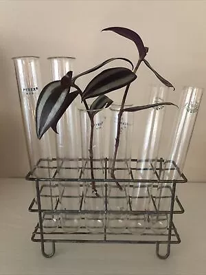 Plant Propagation Vintage Chemistry Metal Test Tube Rack With 8 Glass Pyrex Tube • $24.99