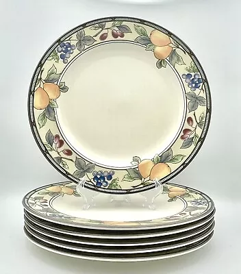 Mikasa Intaglio GARDEN HARVEST 11 1/8 Dinner Plates CAC29 Set Of 6 • $59