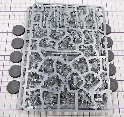 Warhammer Fantasy Age Of Sigmar Cursed City : Deathrattle Skeletons X10 & Bases • £20