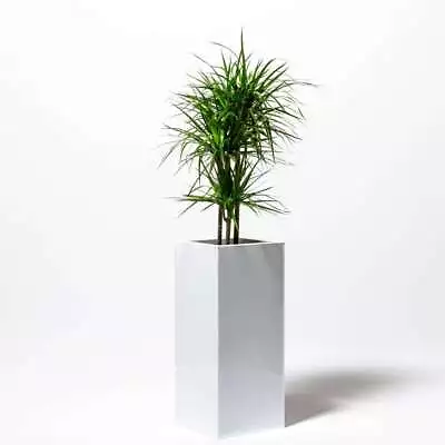 75cm Tall Cube Plant Pot Zinc White Gloss Dipped Galvanised Planter • £77.98