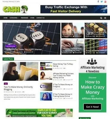 Make Money - Affiliate Website With Articles Free Hosting / Setup • $12
