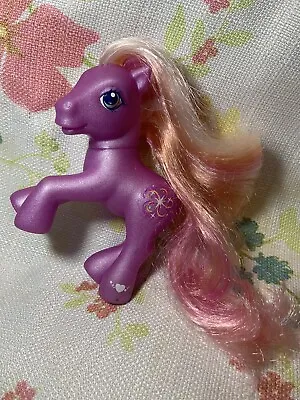 My Little Pony G3 Twinkle Twirl Purple Earth Pony Star Swirl MLP 2003 FLAWS • $7.99