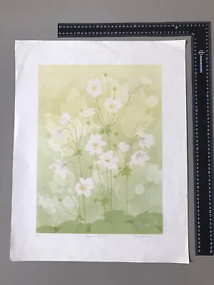 Original Print By Betty Silburn Signed & Numbered. Japanese Anemone • £10