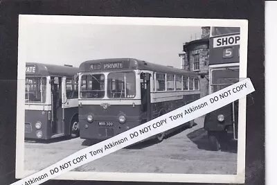 Hartlepool Corporation  - Leyland Royal Tiger - Mrr309 - Bus Photo #ref.b5768 • £1