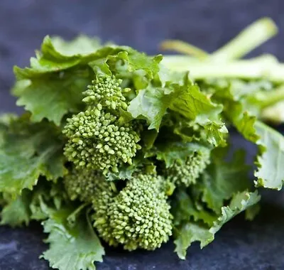 Broccoli Rapini - 100 Seeds Raab Broccolini - Multiple Heads - Tassie Organic • $2.95